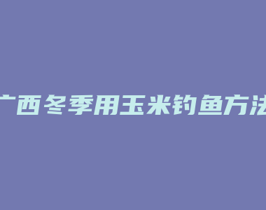 广西冬季用玉米钓鱼方法