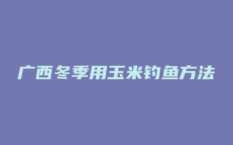 广西冬季用玉米钓鱼方法