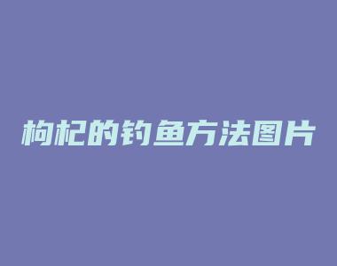 枸杞的钓鱼方法图片