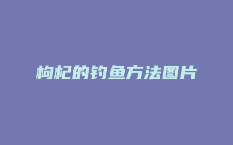 枸杞的钓鱼方法图片