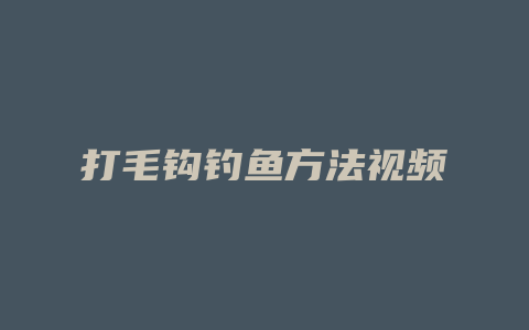 打毛钩钓鱼方法视频