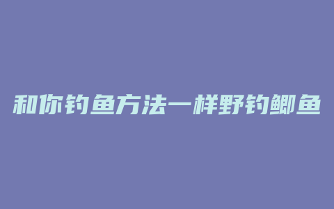 和你钓鱼方法一样野钓鲫鱼怎么办