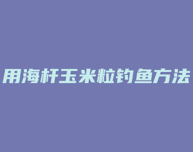 用海杆玉米粒钓鱼方法