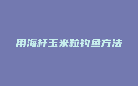 用海杆玉米粒钓鱼方法