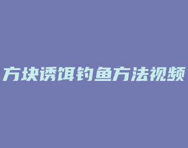 方块诱饵钓鱼方法视频