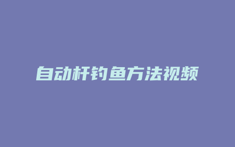 自动杆钓鱼方法视频