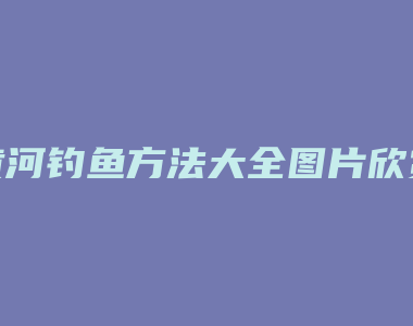 黄河钓鱼方法大全图片欣赏