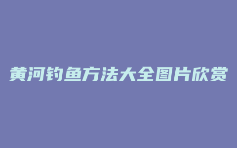 黄河钓鱼方法大全图片欣赏