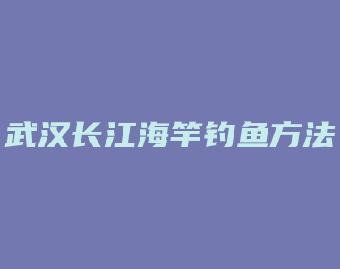 武汉长江海竿钓鱼方法