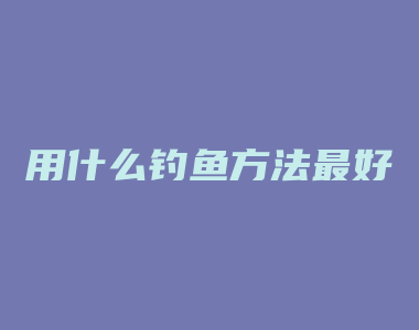 用什么钓鱼方法最好