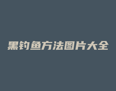 黑钓鱼方法图片大全