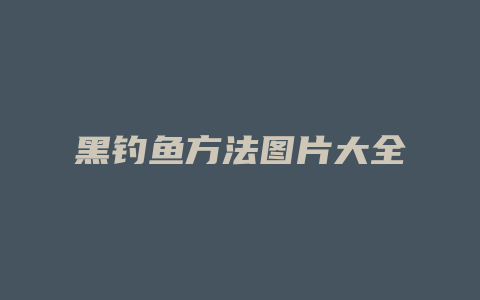 黑钓鱼方法图片大全