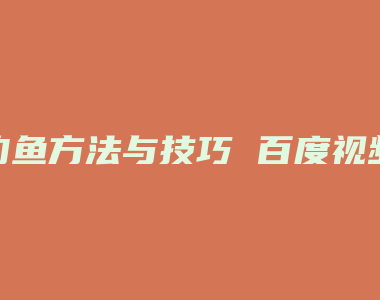 钓鱼方法与技巧 百度视频